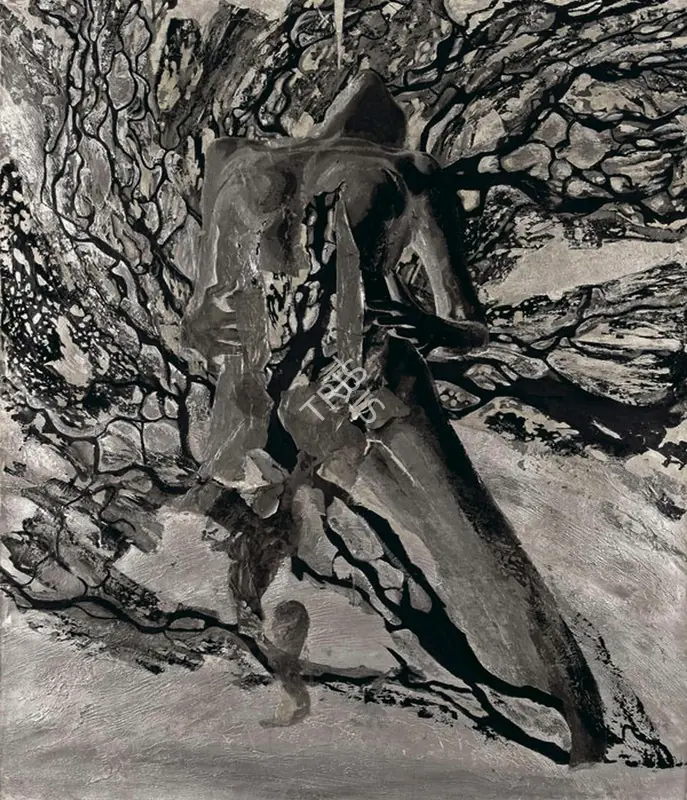 Agarwal, Anu (Artist). Noctua, 2010 | Painting