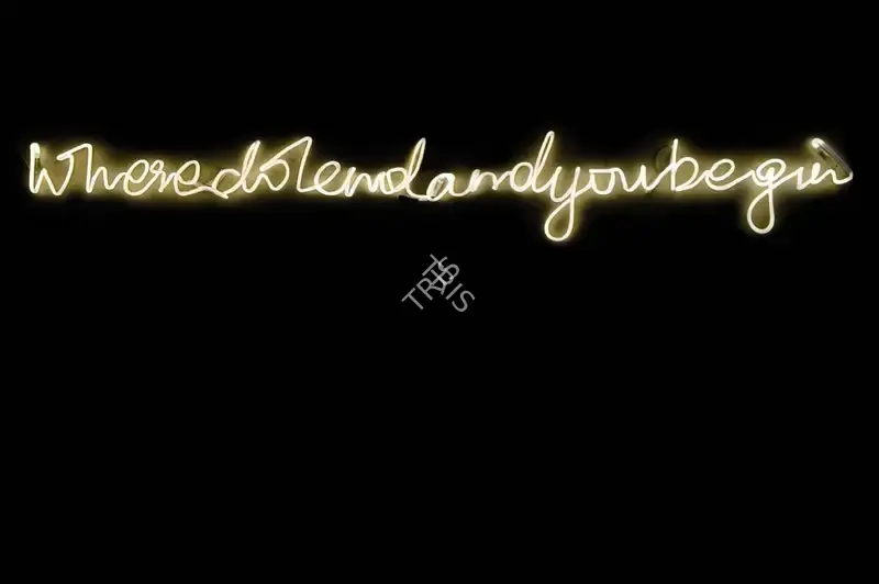 Gupta, Shilpa (Artist). Where do I end and you begin , 2012 | Graphic Art