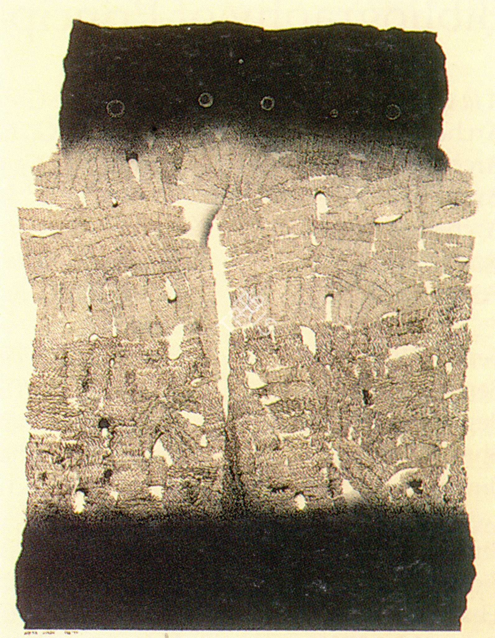 Singh, Arpita (Artist). Sweater, 1977 | Drawing