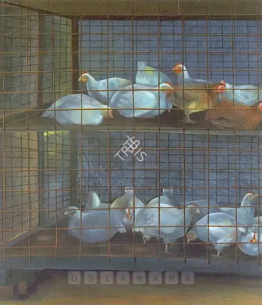 Tripathy, Hariprasad (Artist). The Chicken Box, 2003 | Painting