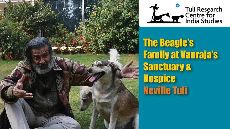 Tuli Research Centre for India Studies (Editor). The Beagle's Family at Vanraja's Sanctuary & Hospice: Neville Tuli, 25 February 2025 | In-house Video | Continuum | 00876558
