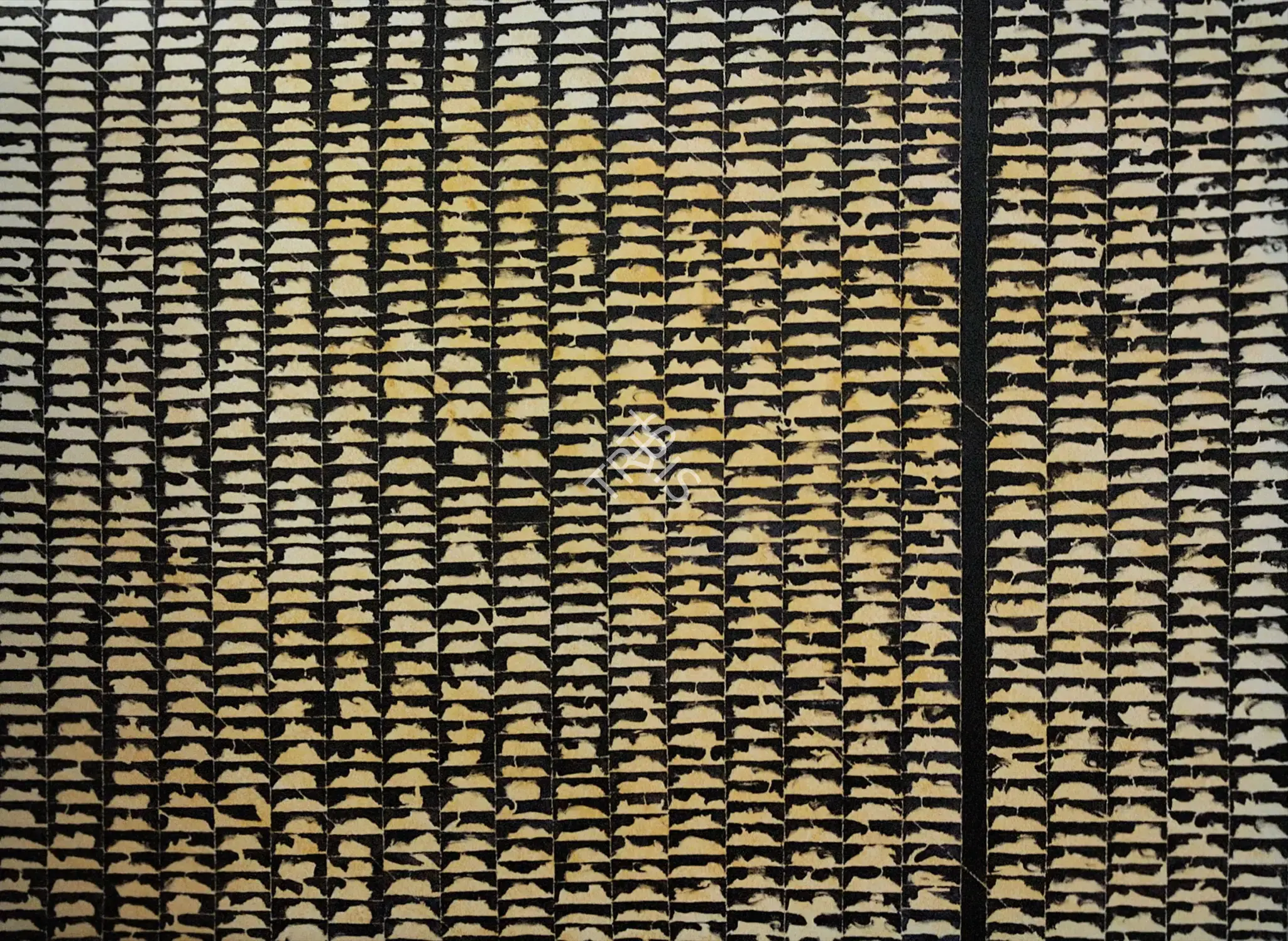 Akhilesh (Artist). Para, 2004 | Painting
