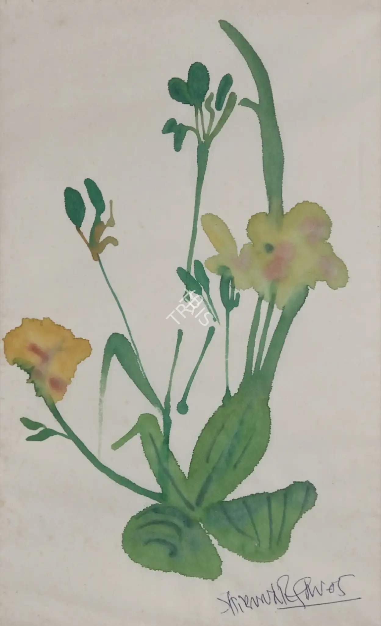 Natesan, Shibu (Artist). Untitled, n.d. | Painting