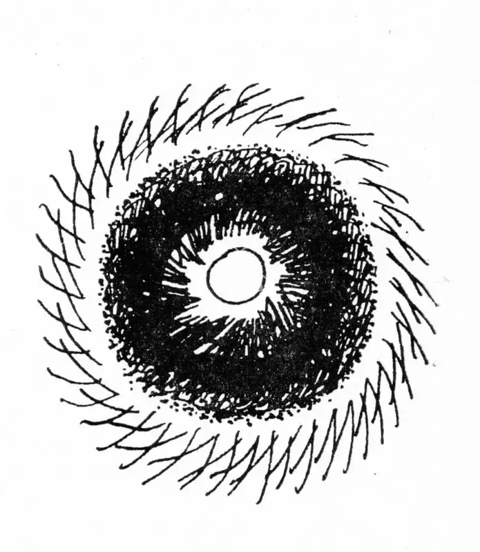 De, Biren (Artist). Untitled, n.d. | Drawing