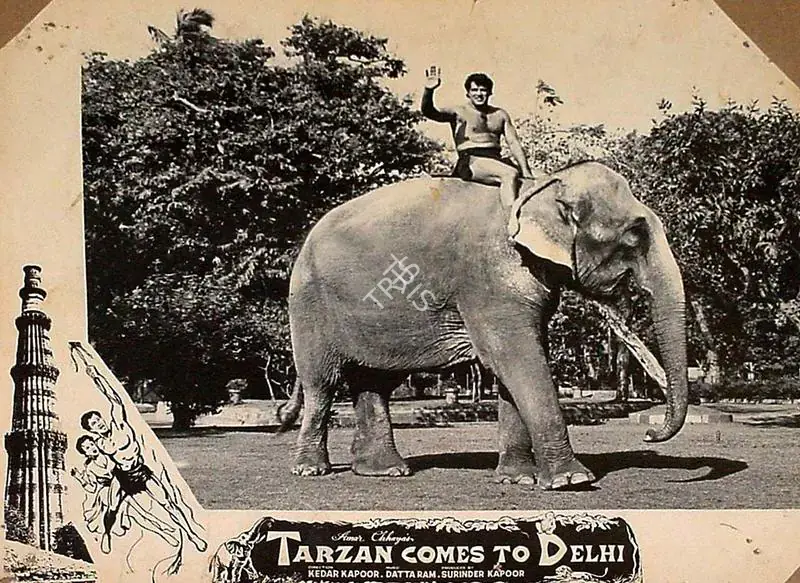 Kapoor, Surinder (Producer), Tarzan Delhi Me, 1965 | Lobby Card | CinemaEducation | 00828504