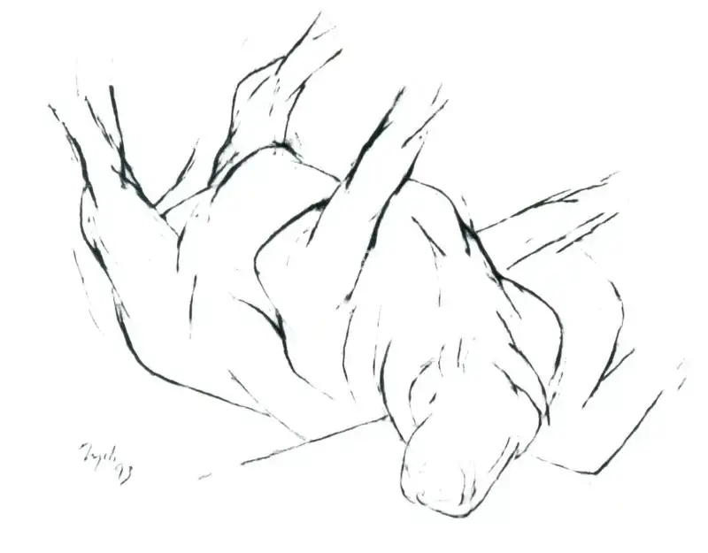 Mehta, Tyeb (Artist). Untitled, 1993 | Drawing
