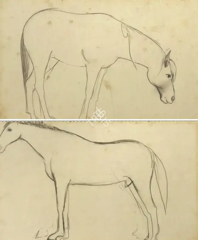 Sher-Gil, Amrita (Artist). Study of a Horse, n.d. | Drawing