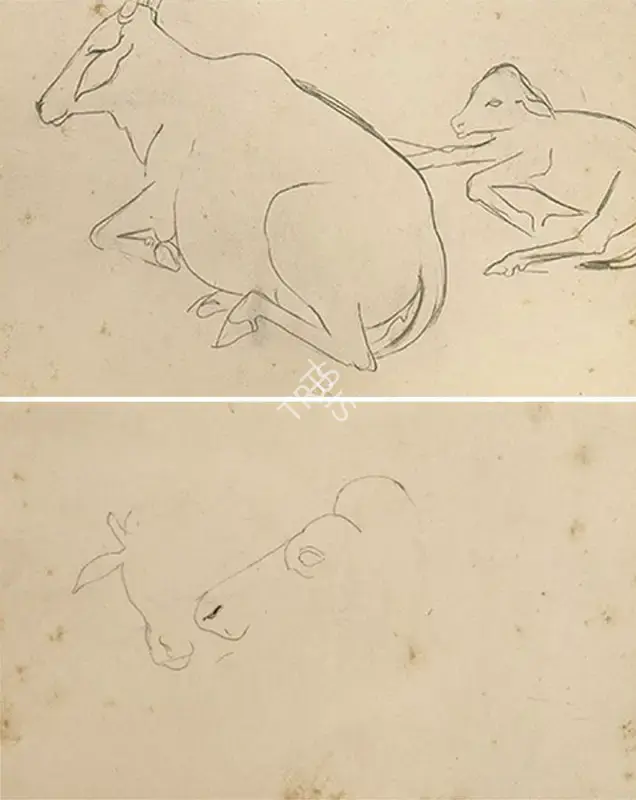 Sher-Gil, Amrita (Artist). Untitled, n.d. | Drawing