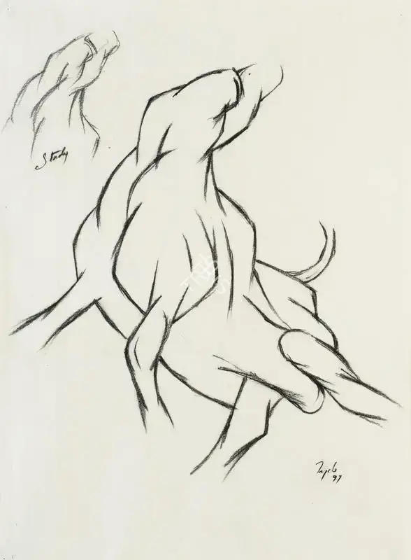 Mehta, Tyeb (Artist). Study of Bull, 1997 | Drawing