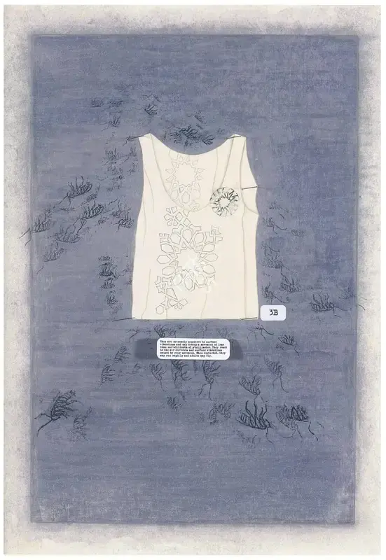 Qayyum, Tazeen (Artist). Do Not Get on Skin or Clothing V, 2006 | Photograph