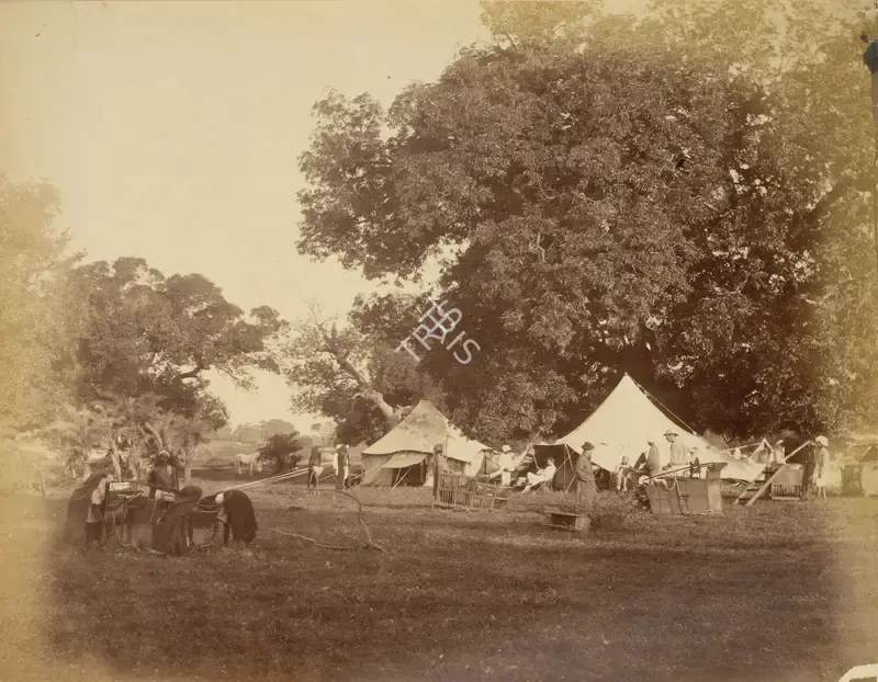 Hooper, Willoughby Wallace (Photographer). Tiger Hunt. Albumen print pasted on thick mount, n.d. | Antiquarian Photograph | Photography | 00115640