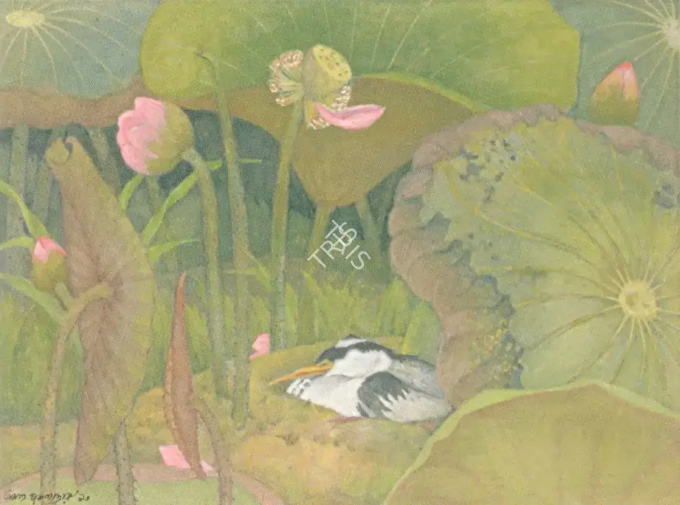 Chakladhar, Amol (Artist). Jungle of Lotus, n.d. | Painting