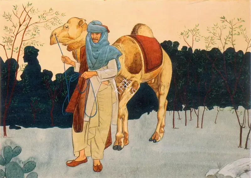 Ahmed, Anna Molka (Artist). A Punjabi Camel Herder, n.d. | Painting