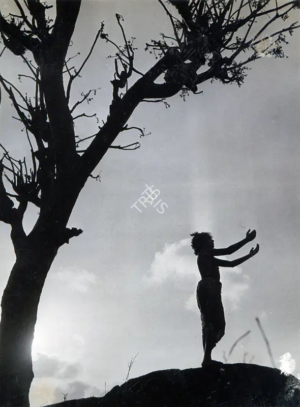 Bhatt, Shanker (Producer), Bal Yogi Upamanyu, 1958 | Photographic Still | CinemaEducation | 00884203
