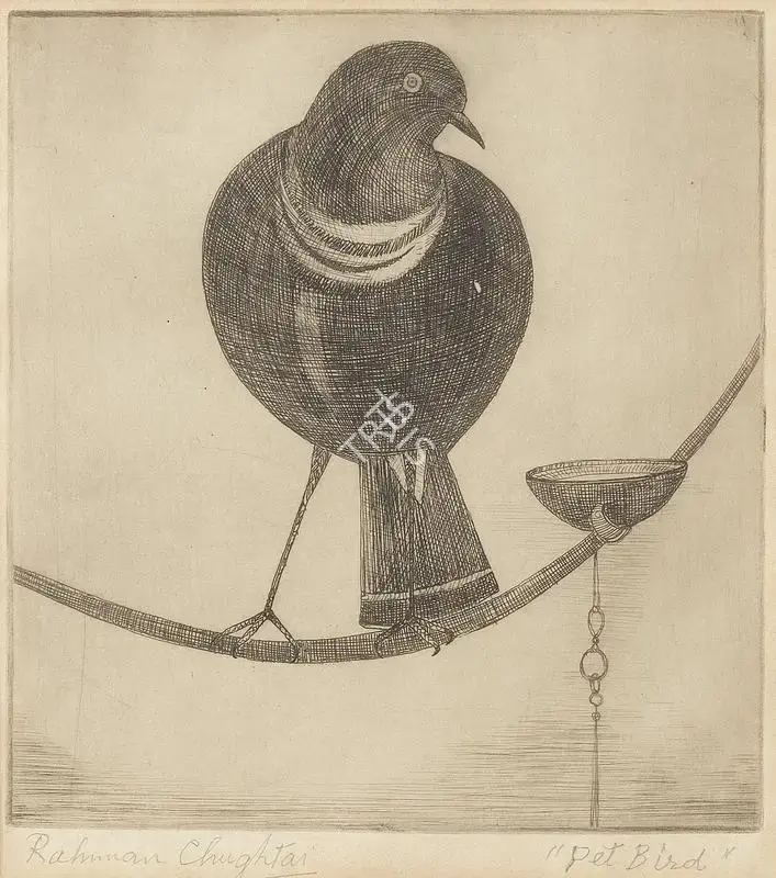 Chughtai, M.A.R. (Artist). Pet Bird. Dry point etching on paper, n.d. | Graphic Art | FineArts | 00547549