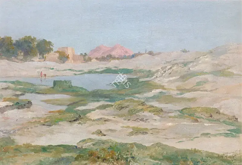 Muller, A.H. (Artist). Landscape scene, n.d. | Painting