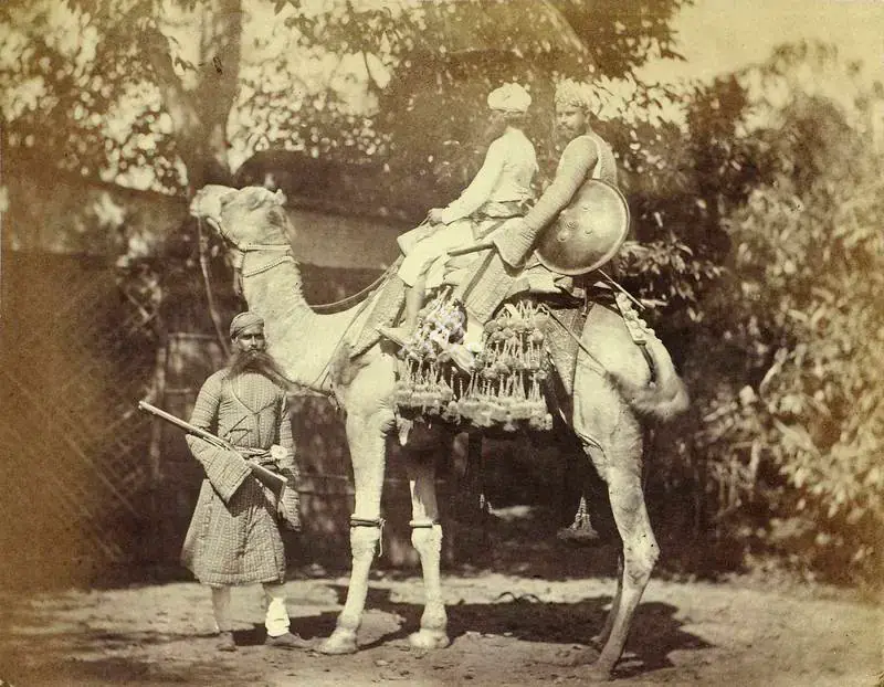 Impey, Eugene Clutterbuck (Photographer). Riding Camel with trappings. The figure on foot is a Rajpoot Thakoor - From the album "Captain E.C. Impey, 'Delhi, Agra, and Rajpootana, illustrated by eighty photographs' (Cundall, Downes, & Co., London, 1865)". Albumen print pasted on mount, early 1860s | Antiquarian Photograph | Photography | 00115961
