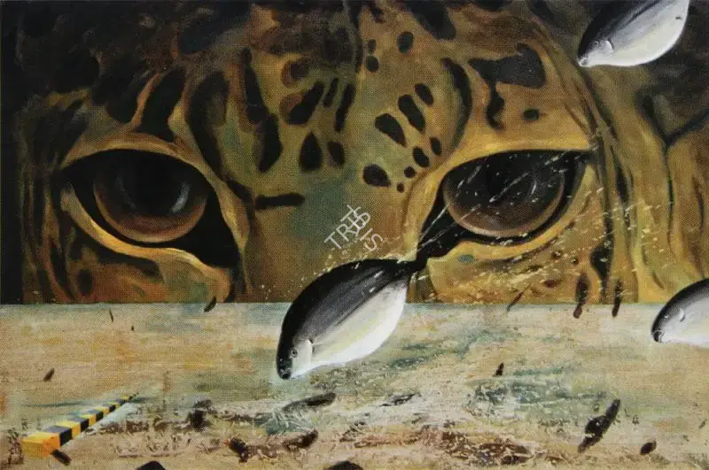 Panda, Jagannath (Artist). The Fish Looks Like Tiger Eyes. Oil on canvas, 2004 | Painting | FineArts | 00599344