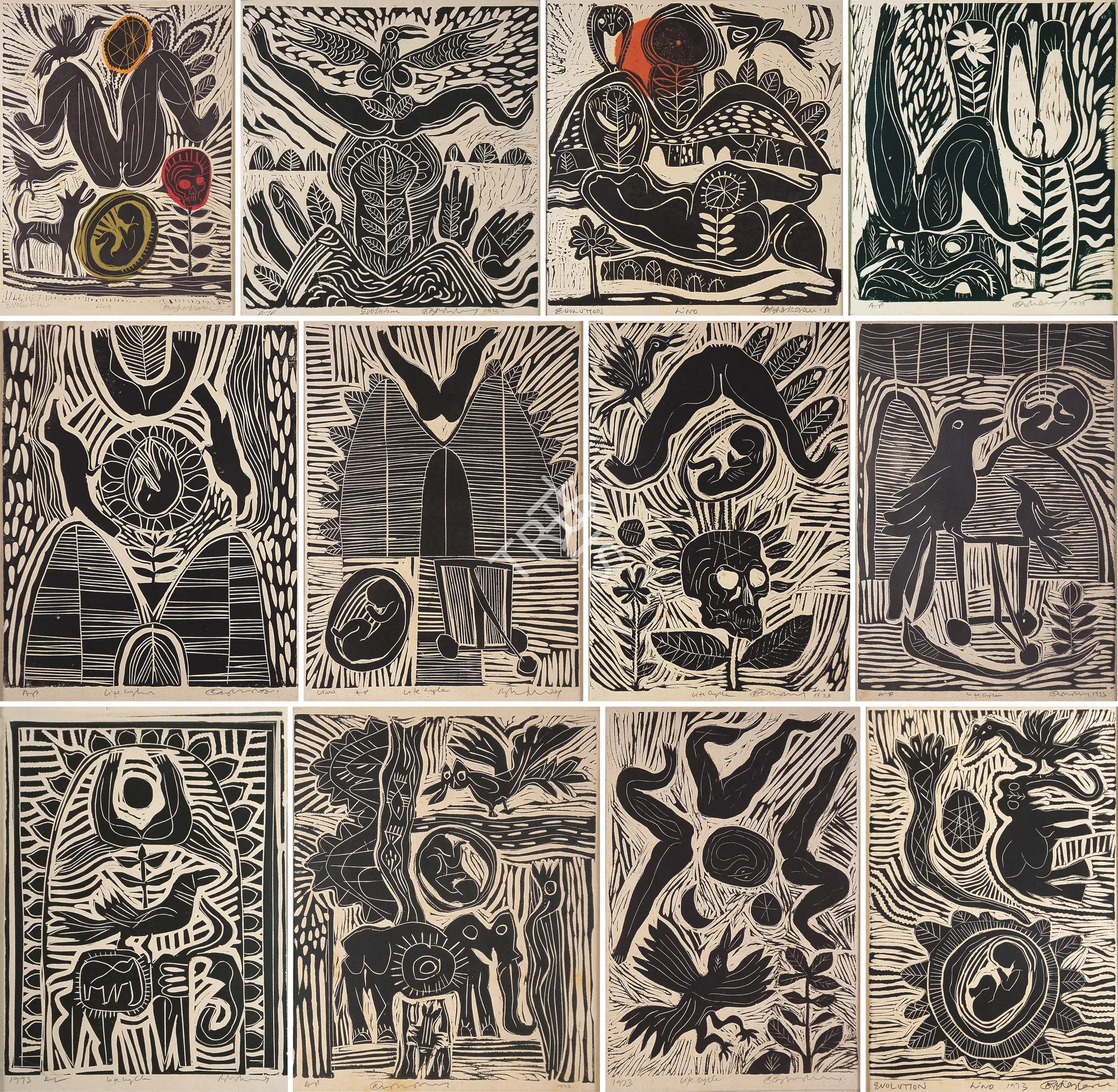 Bhaskaran, R.B. (Artist). Life Cycle & Evolution Series, 1971, 1973 | Graphic Art