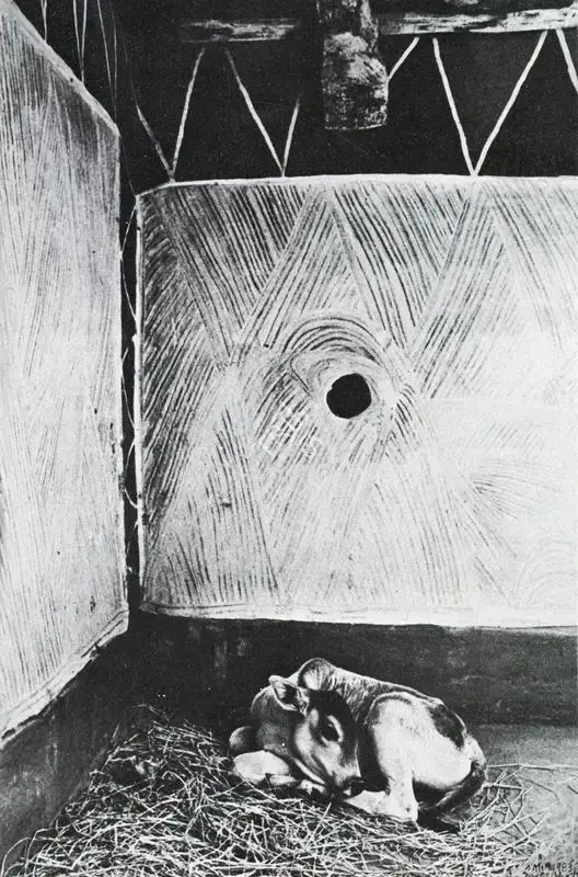 Bhatt, Jyoti (Photographer). Village Cowshed, Madhya Pradesh. 1983 | Contemporary Photograph, Art Heritage, 1994-1995 | FineArts | 00529932