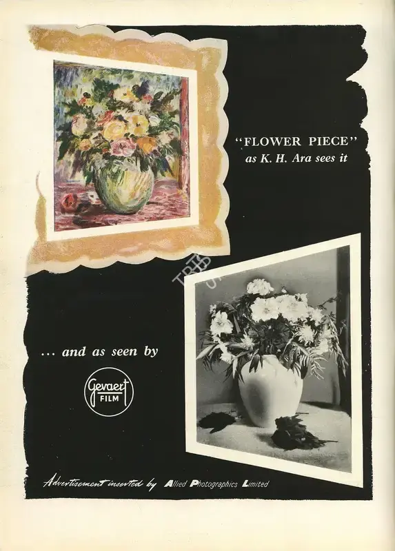 Allied Photographics (Advertiser). "Flower Piece" as K.H. Ara Sees it and as Seen by Gevaert Film, 1951 | Advertisement