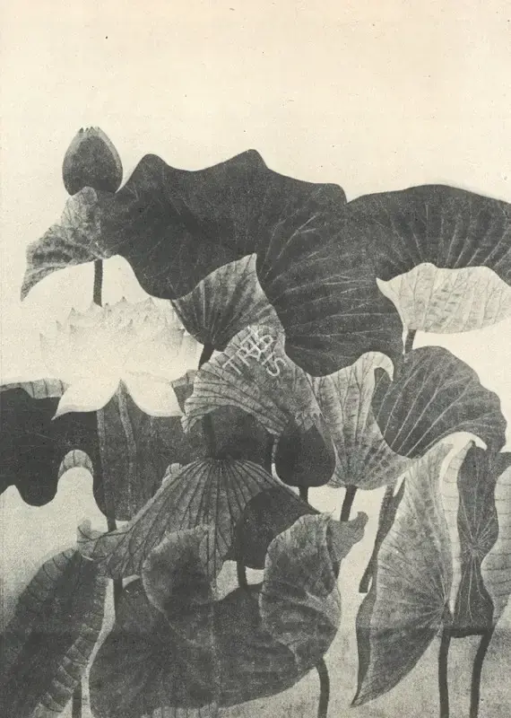 Menon, K. Madhava (Artist). Lotus, n.d. | Painting