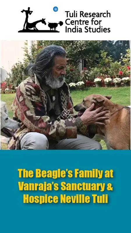 Tuli Research Centre for India Studies (Editor). The Beagle's Family at Vanraja's Sanctuary & Hospice: Neville Tuli, 13 May 2025 | In-house Video | Continuum | 00876574