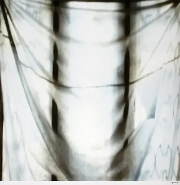 Bhaskar, Binu (Artist). Absence Of White Lies. Digital Print on archival paper, 2006-2007 | Print | FineArts | 00900648