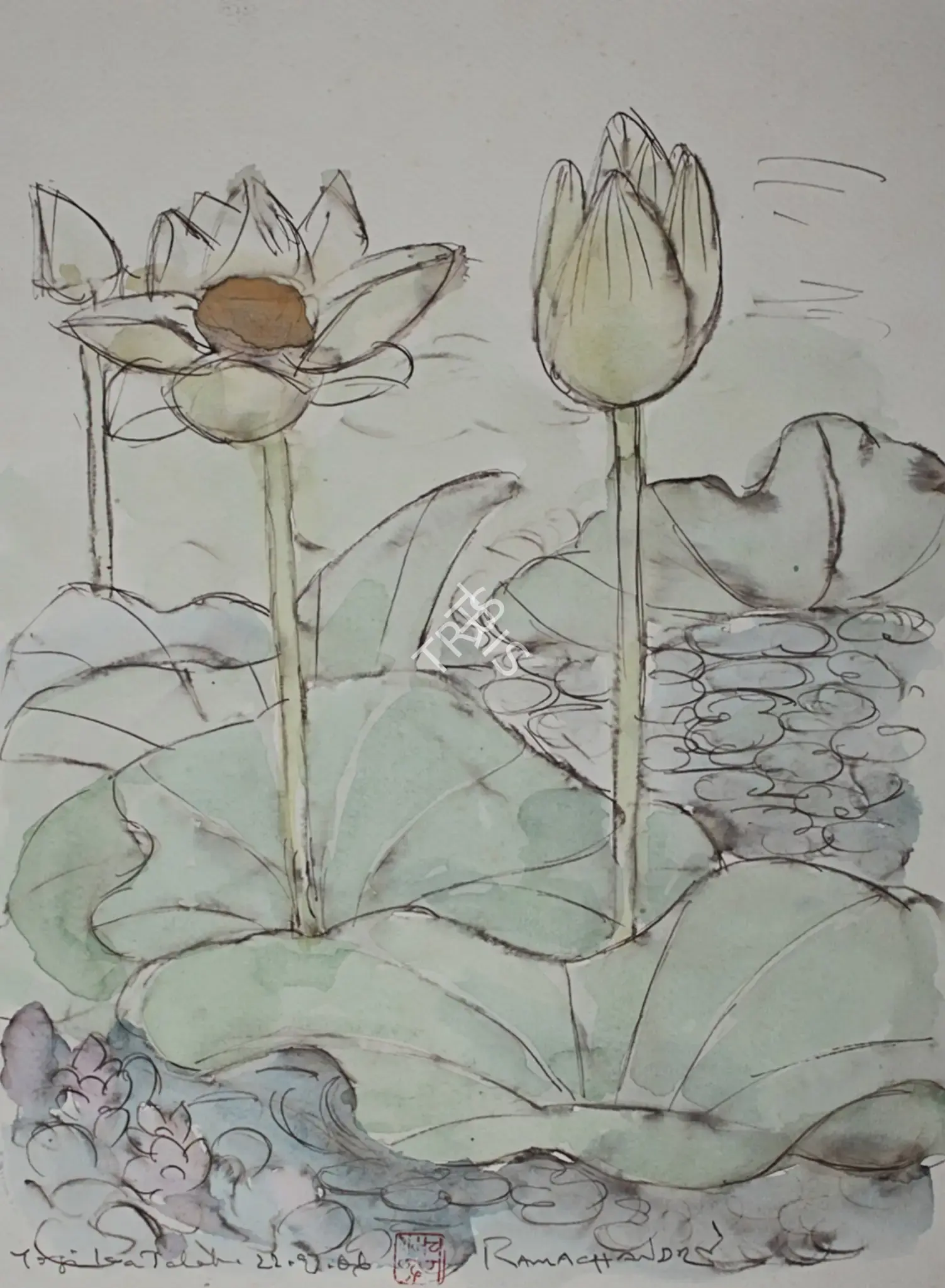 Ramachandran, A. (Artist). Jogi Ka Talab, 2006 | Painting
