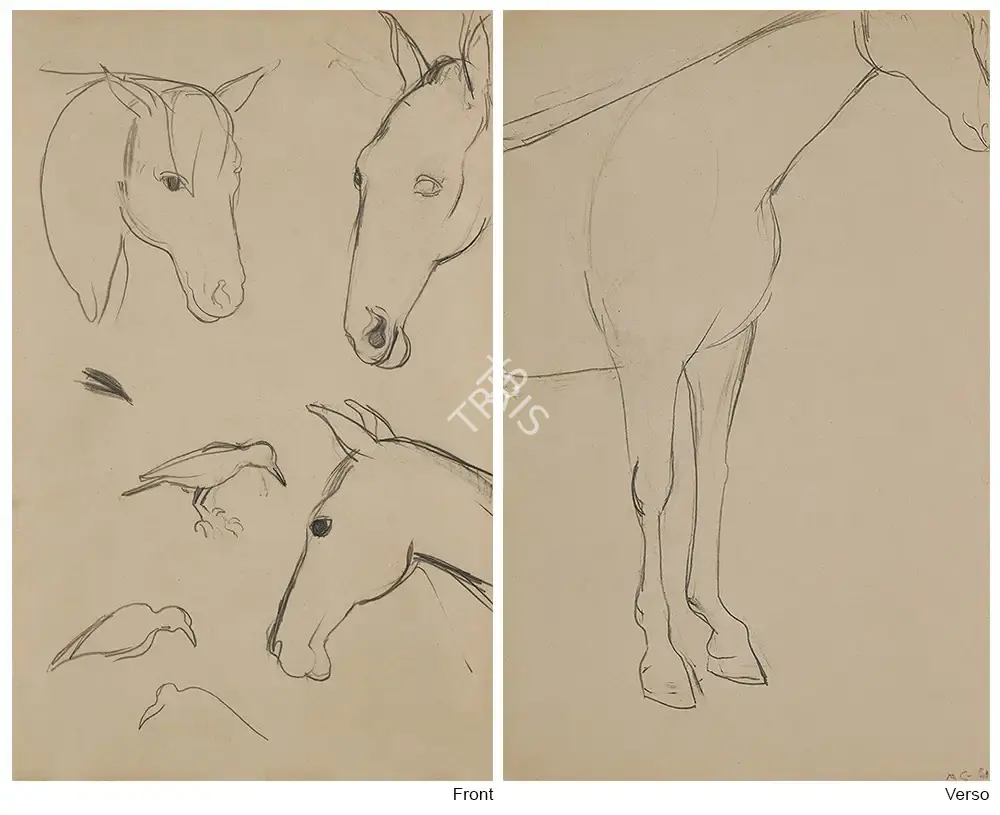 Sher-Gil, Amrita (Artist). Study Of Horses (Double Sided), n.d. | Drawing