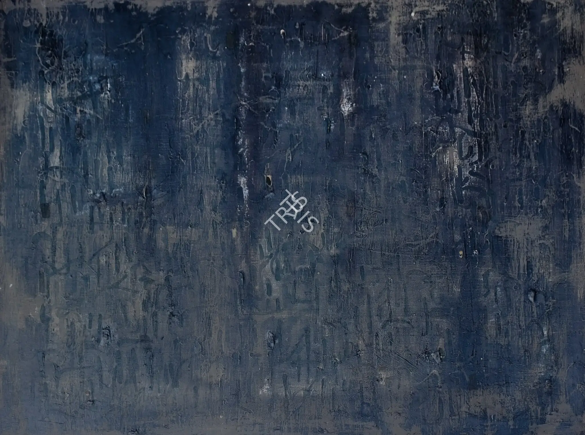 Rajguru, A.P. (Artist). Untitled. Acrylic on canvas, 2005 | Painting | FineArts | 00645054