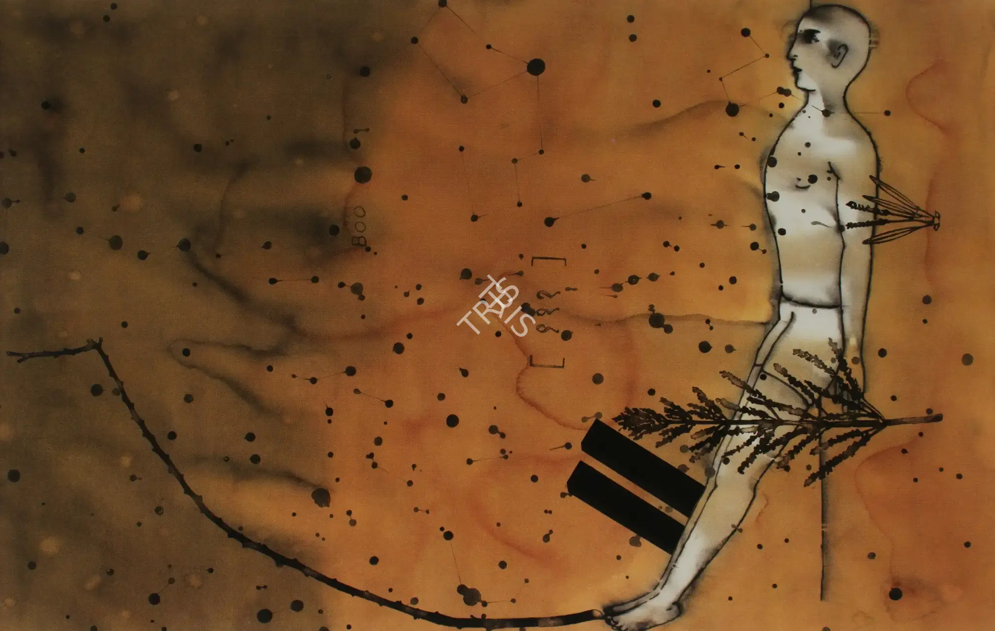 Dodiya, Atul (Artist). Stars. Watercolour charcoal and acrylic with marble dust on paper, 2003 | Painting | FineArts | 00901009