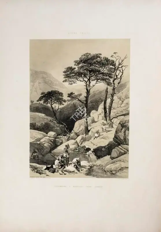 Hardinge, J.D. (Lithographer). Oodampore, circa 1847 | Lithograph