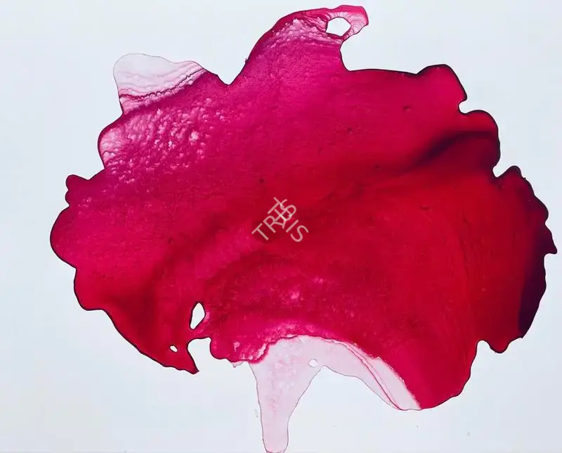 Singh, Aditi (Artist). In the Shadow of a Rose (For Sonu 1974-2021). Ink on Yupo paper, 2020 | Painting | FineArts | 00546434