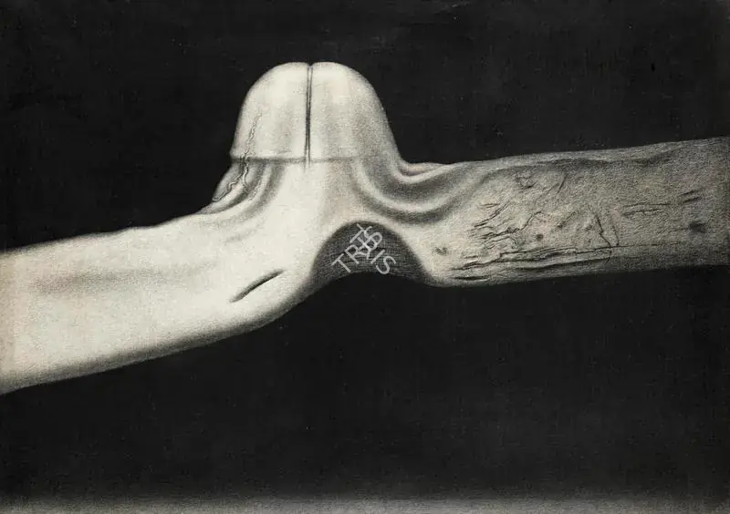 Broota, Rameshwar (Artist). Metamorphosis - II. Oil on canvas, 1984 | Painting | FineArts | 00335961