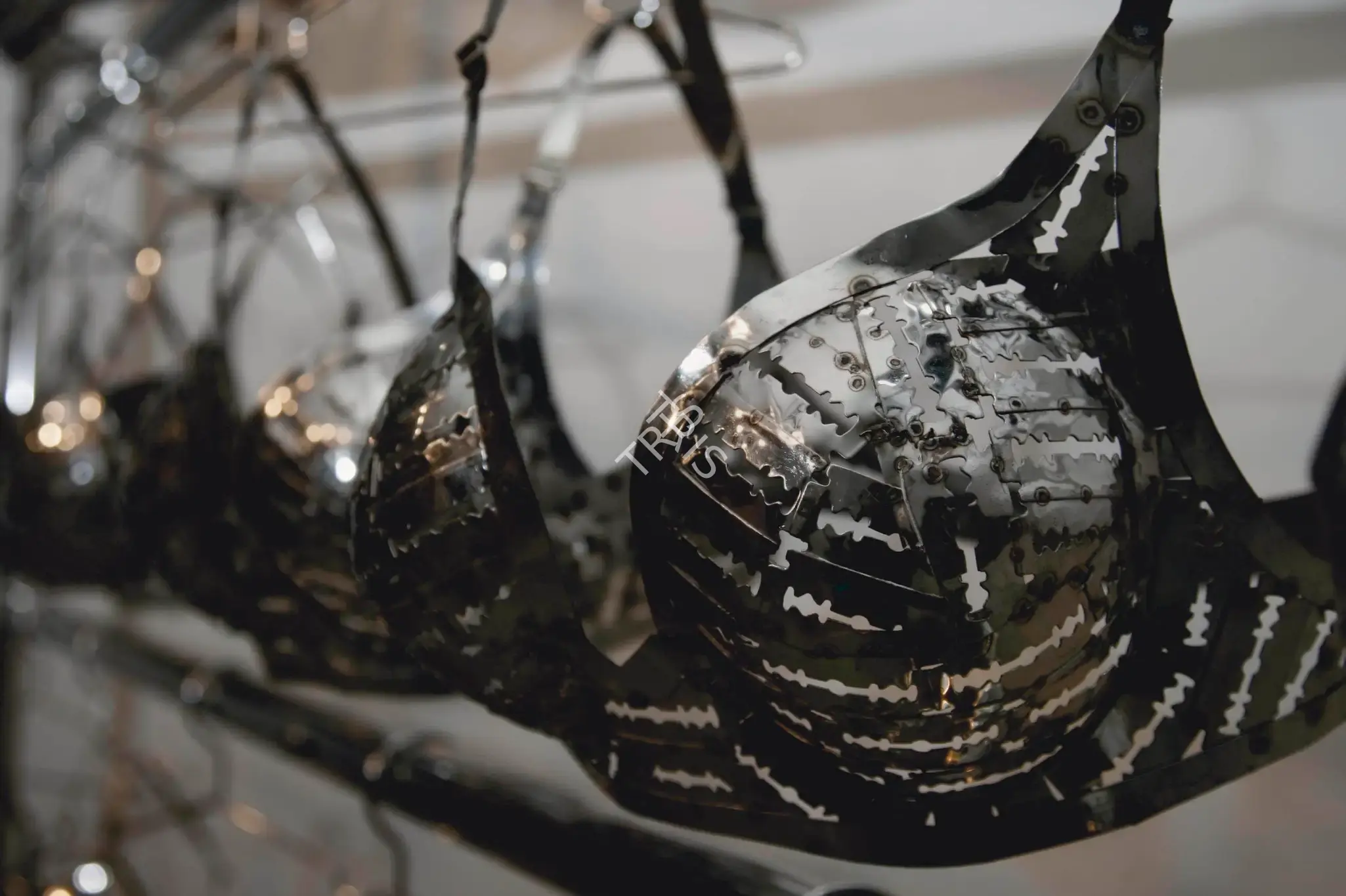 Lipi, Tayeba Begum (Artist). Bizarre & Beautiful II, 2011 | Sculpture