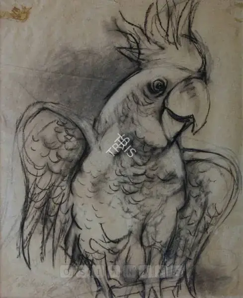 Sen, Paritosh (Artist). The Cockatoo, n.d. | Drawing