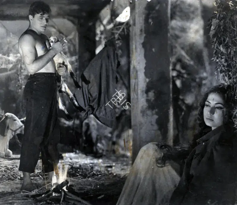 Vincent, A. (Cinematographer), Dil Ek Mandir, 1963 | Photographic Still | CinemaEducation | 00884940