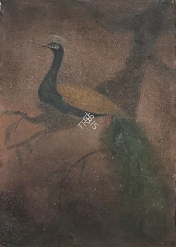 Tagore, Abanindranath (Artist). Peacock. Watercolour on cardboard, c.1922-1923 | Painting | FineArts | 00646804
