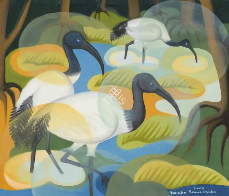 Senanayake, Senaka (Artist). IBIS, 2003 | Painting