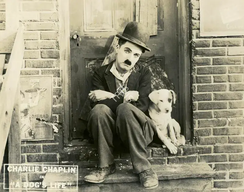 Totheroh, Roland (Cinematographer), A Dog's Life, 1918 | Lobby Card | CinemaEducation | 00794970