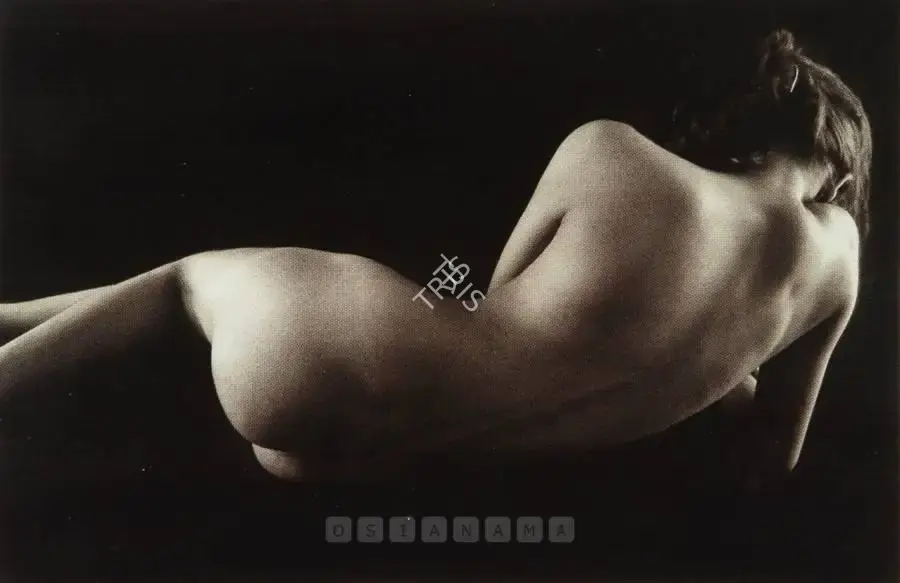 Padamsee, Akbar (Artist). Untitled (Nude), 2005 | Print