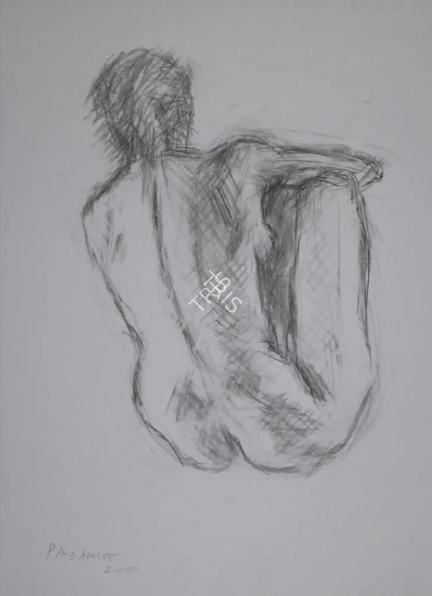 Padamsee, Akbar (Artist). Untitled, 2000 | Graphic Art