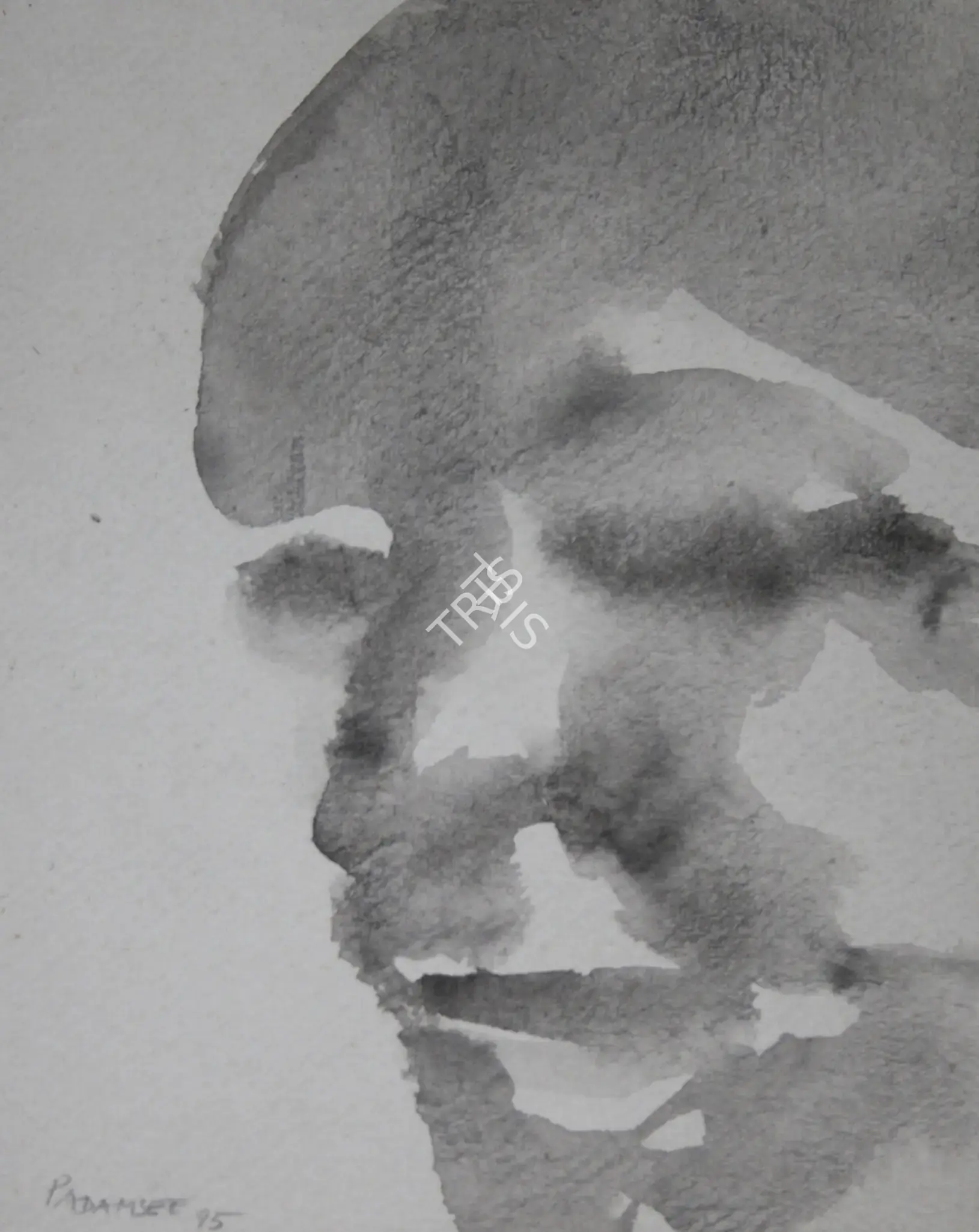 Padamsee, Akbar (Artist). Untitled, 1995 | Painting
