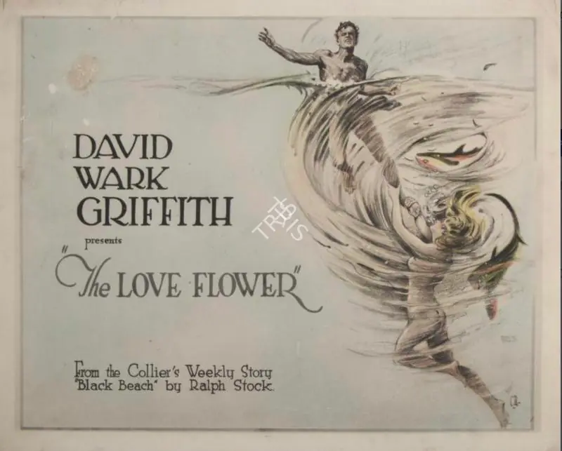 Griffith, D.W. (Director), The Love Flower, 1920 | Lobby card | CinemaEducation | 00789864