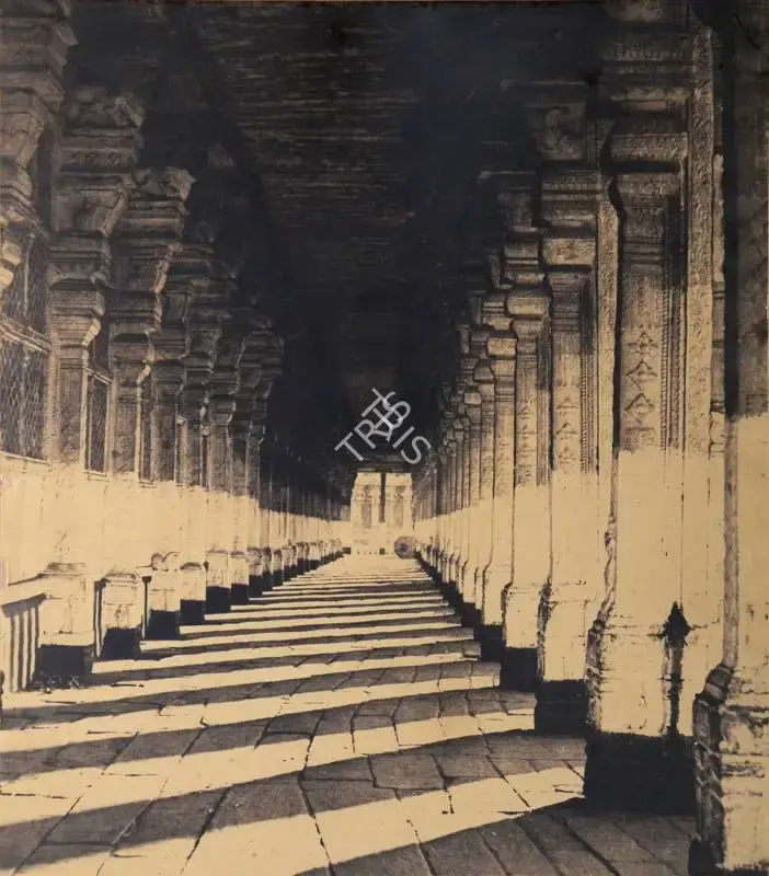 Tripe, Capt. Linnaeus (Photographer). Aisle on the South side of the Puthu Mundapum, from the Western Portico, Madura - From the album "Photographic views in Madura Part II (1860)" By Captain L.. Tripe, Government Photographer With Descriptive Notes, By M. Norman, ESQ., M.C.S. 1858". Plate II. Albumen print from waxed paper negative, 1858 | Antiquarian Photograph | Photography | 00116018