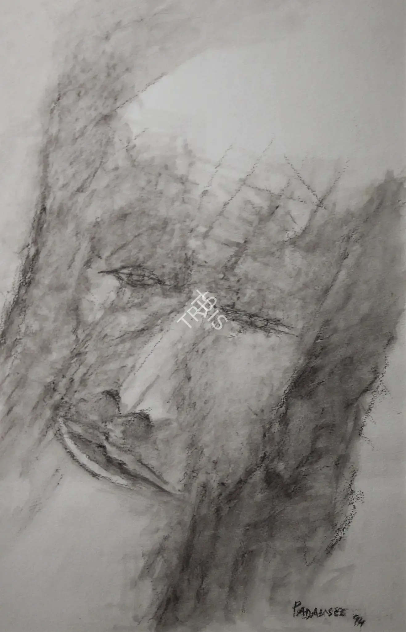 Padamsee, Akbar (Artist). Untitled, 1994 | Painting