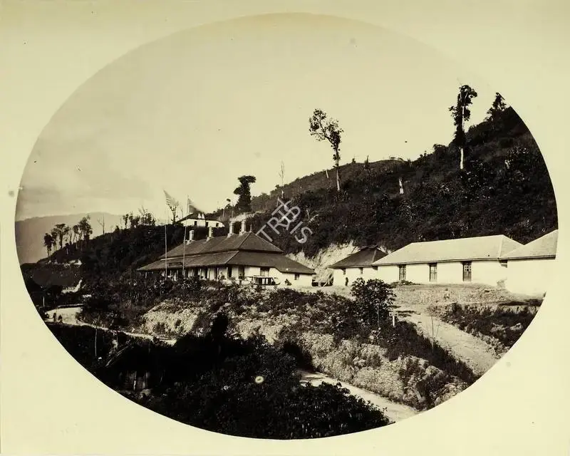 Attributed, Robert Phillips (Photographer). Clarendon Hotel - Tea Plantation Estate. Albumen print pasted on mount, n.d. | Antiquarian Photograph | Photography | 00115731