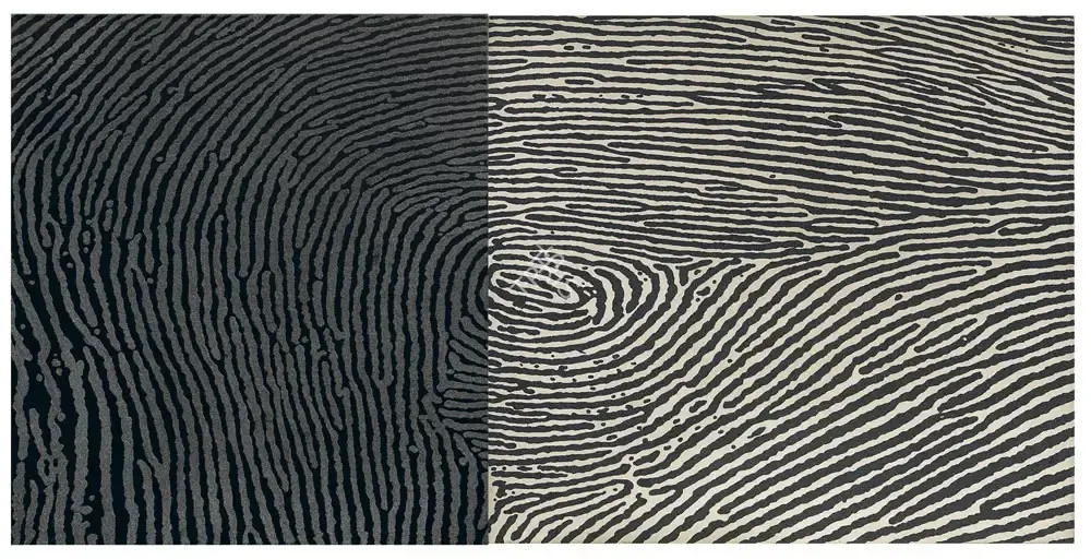 Balasubramaniam, A. (Artist). Untitled. Stencil, acrylic and silicon on canvas, 2004 | Painting | FineArts | 00594835