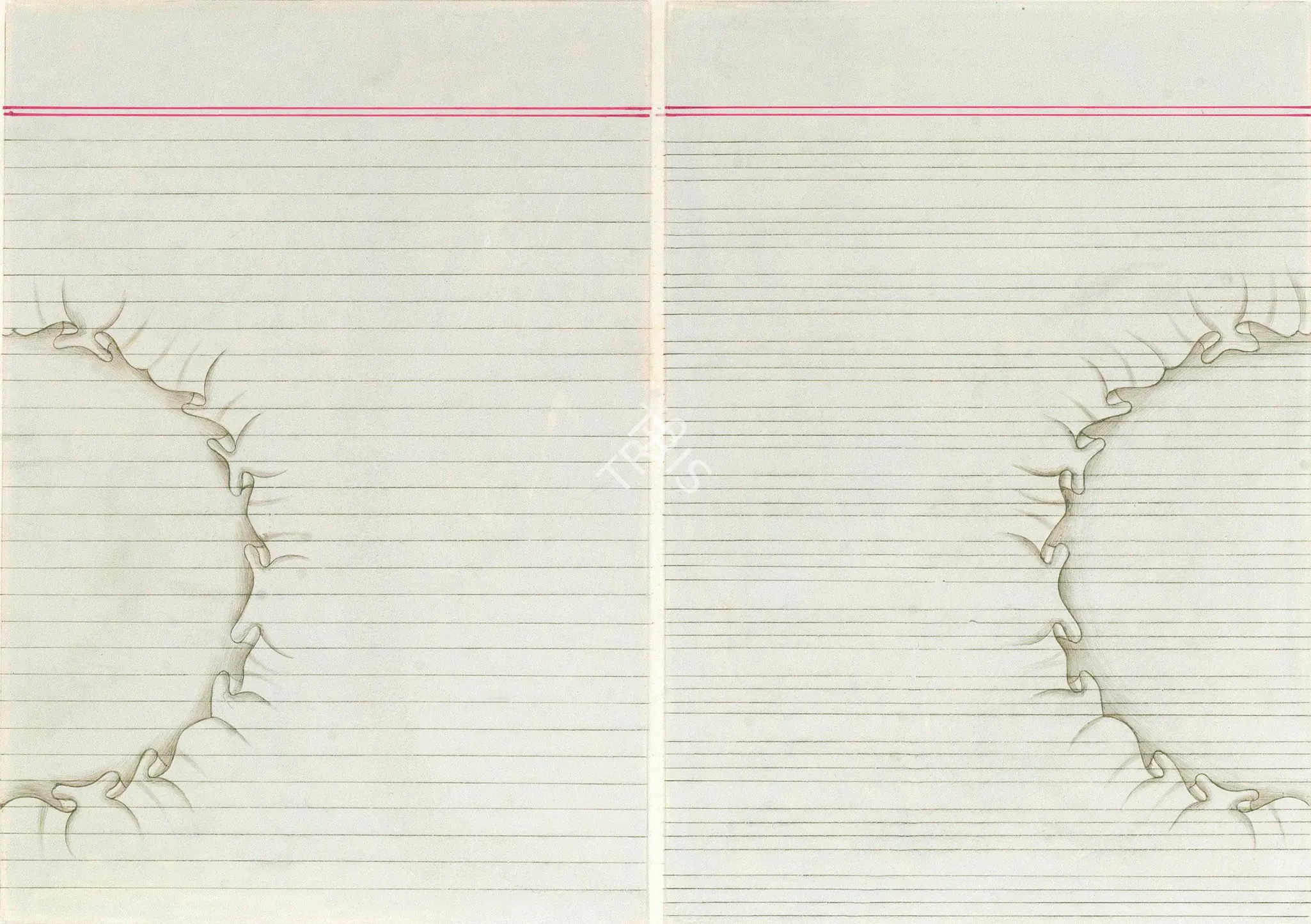 Khalid, Aisha (Artist). Divided, 2006 | Painting